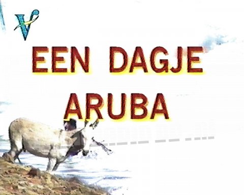 Een Dagje Aruba