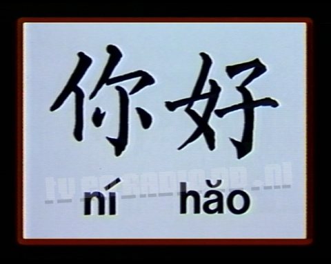 Nǐ Hǎo, Chinese Taal en Cultuur