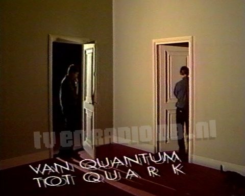 Van Quantum tot Quark