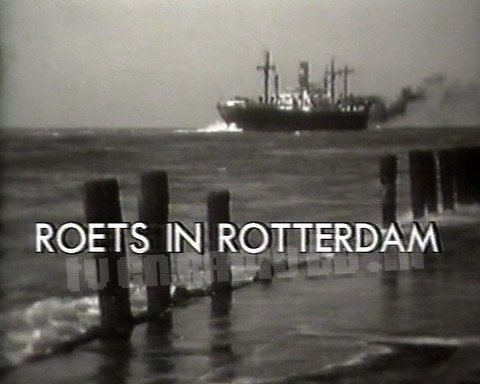 Roets in Rotterdam