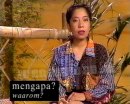 Indonesië, Taal en Cultuur • presentatie • Maureen Pattiruhu