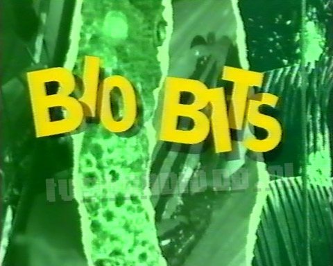 Bio-Bits