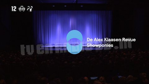 Alex Klaasen: Showponies