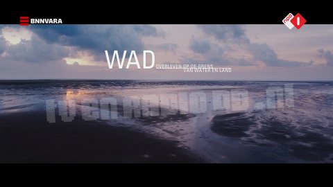 WAD, Overleven op de Grens van Water en Land