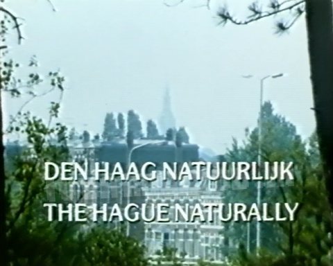 Den Haag, Natuurlijk