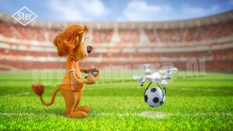 STER • Loeki de Leeuw - EK Voetbal 2021 (Euro 2020) • Loeki de Leeuw