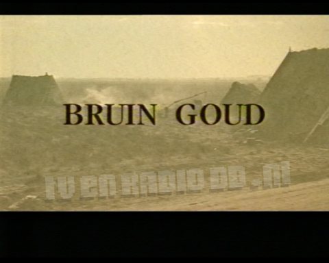 Bruin Goud