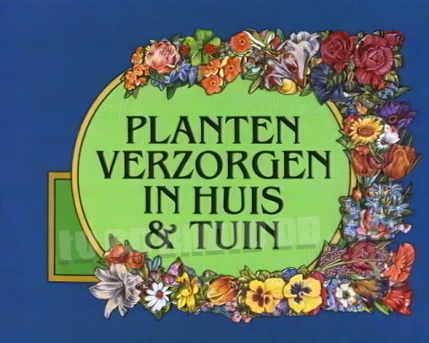 Planten Verzorgen in Huis en Tuin