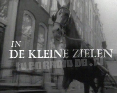 De Kleine Zielen