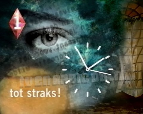 Nederland 1 / NPO1