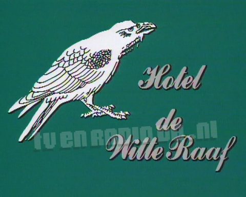 Hotel de Witte Raaf