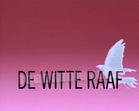 De Witte Raaf