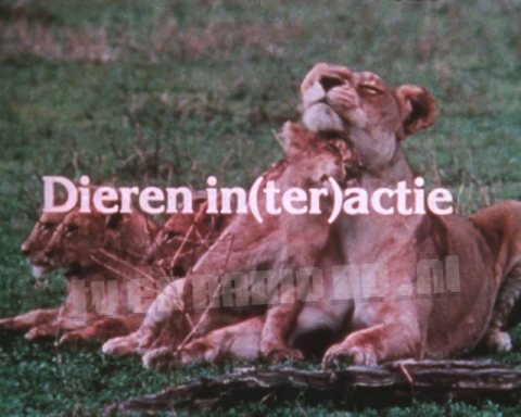 Dieren In(ter)actie Dieren In(ter)actie