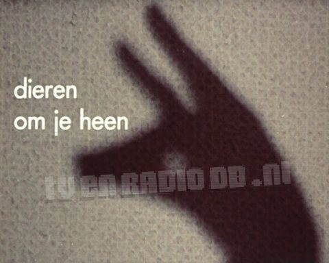 Dieren Om Je Heen Dieren Om Je Heen