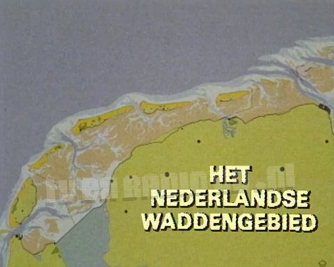 Het Nederlandse Waddengebied Het Nederlandse Waddengebied