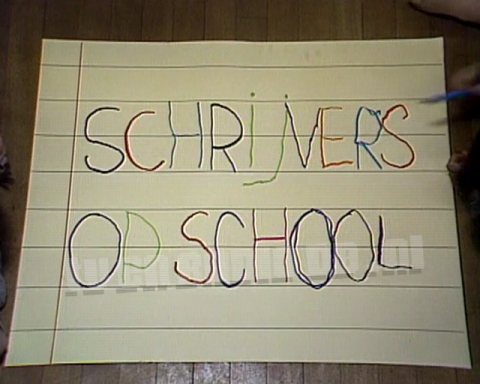 Schrijvers op School