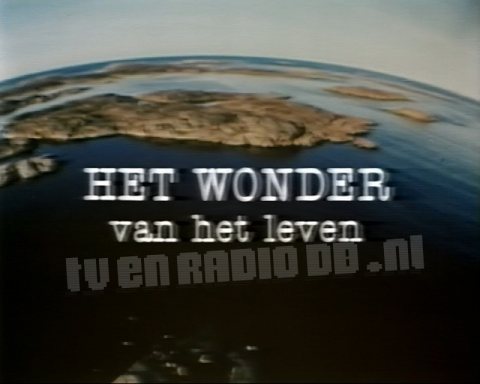 Het Wonder van het Leven Het Wonder van het Leven